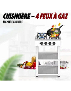 Cuisinière à gaz naturel plan de travail 4 feux alliage...