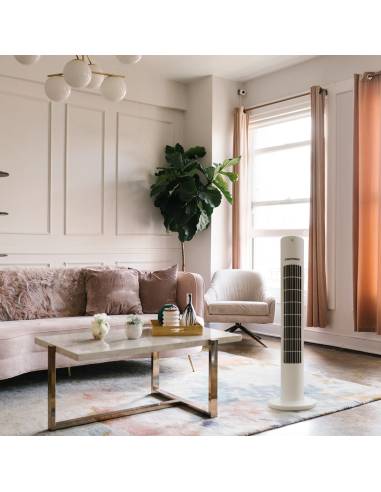 Ventilateur tour Dictrolux avec télécommande 3...