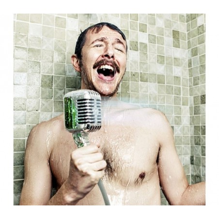 314051 - Pomme de douche en forme de microphone