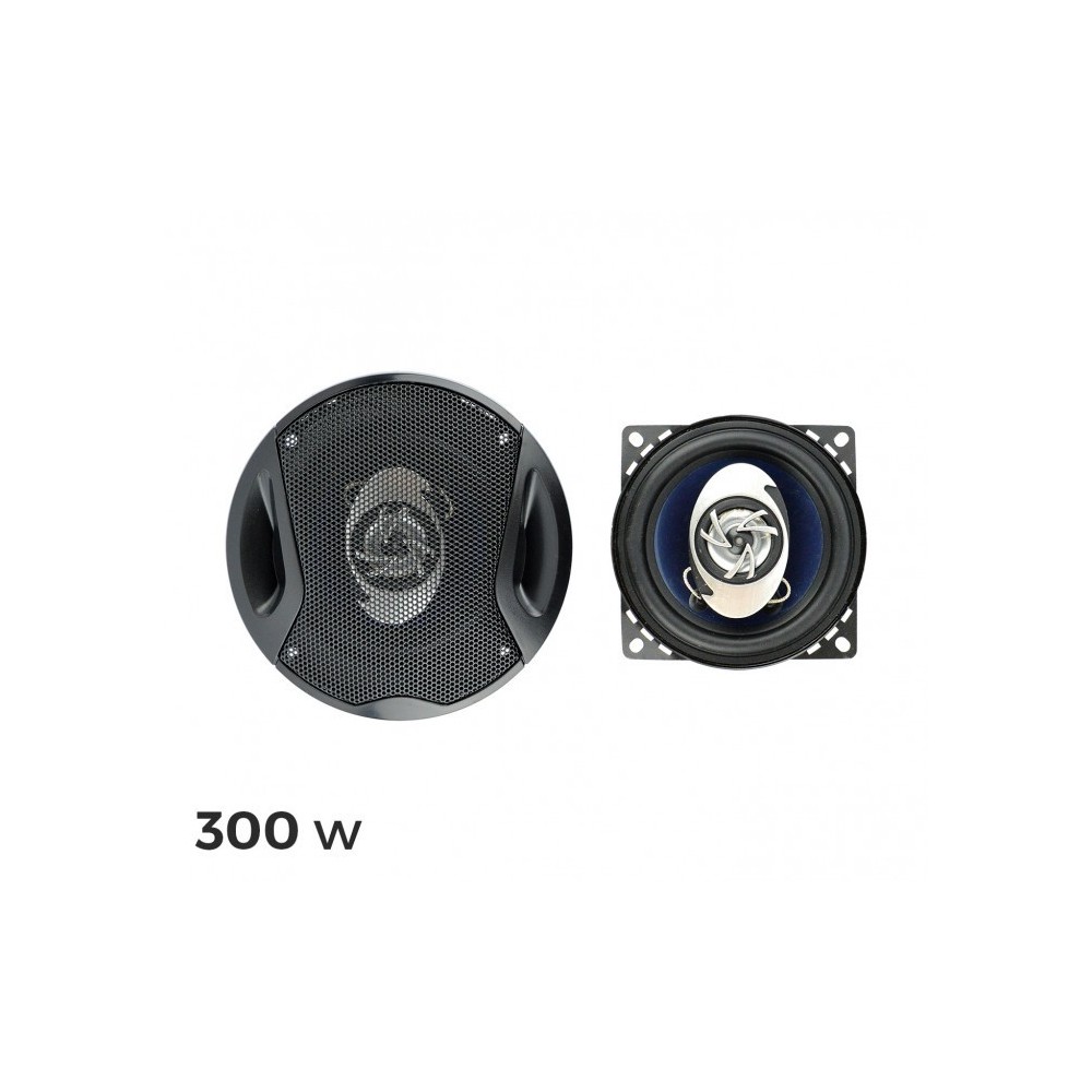 Haut-Parleur pour voiture 300w - vendu par 2