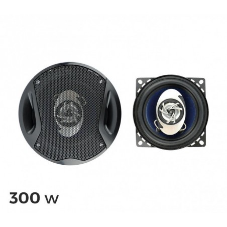 Haut-Parleur pour voiture 300w - vendu par 2