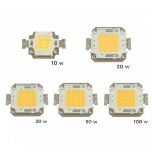 Pack de 2 plaques de LED de rechange 10-20-30-50 ou 100 watt