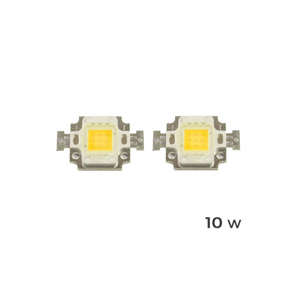 Pack de 2 plaques de LED de rechange 10-20-30-50 ou 100 watt